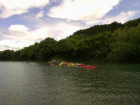 IMG_20260522_100356