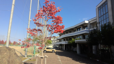 WIN_20251110_10_01_27_Pro