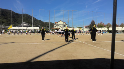 WIN_20261003_08_53_57_Pro