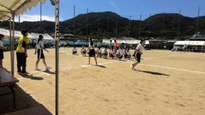 WIN_20261003_11_37_43_Pro